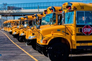 School-buses-in-line-brighter